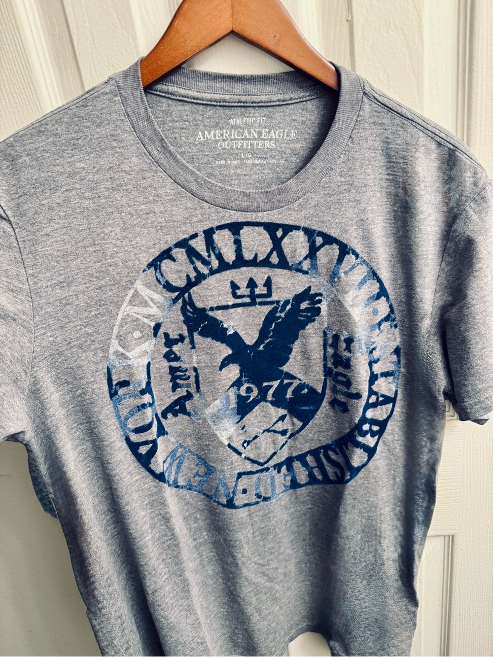 American Eagle Outfitters Gray Tee with Blue Eagle Crest